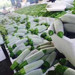 广州和康餐饮 绿色、安全、及时的农副产品粮油配送首选